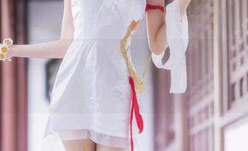 喵糖映画酒吞女仆合集，喝着酒，盘着猫，心情大好！